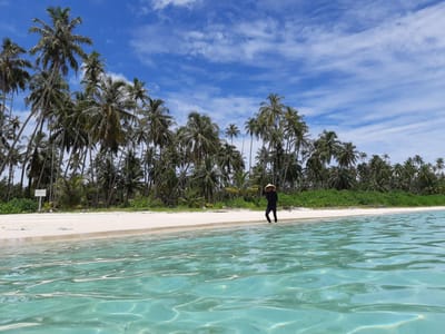 Panenská pláž s palmami na ostrově Mentawai