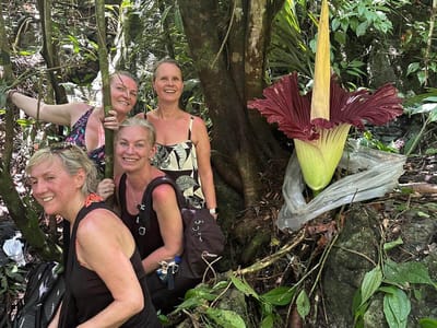 Ilona, Michelle, Annie a Kath