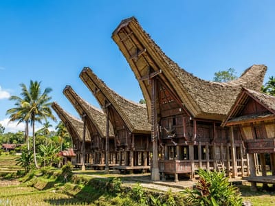 Tradiční domy tongkonan v Tana Toraja s loďkovitými střechami